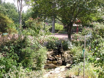 Enlarge photo 5