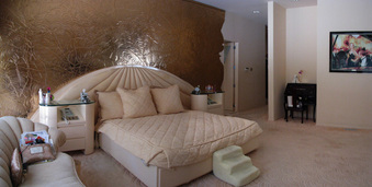 Enlarge photo 33