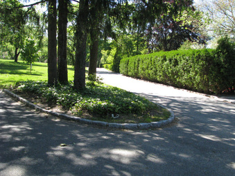 Enlarge photo 62