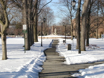 Enlarge photo 34