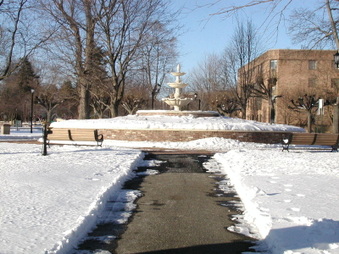 Enlarge photo 37