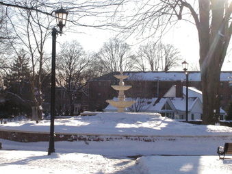 Enlarge photo 40