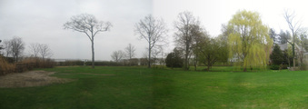 Enlarge photo 7