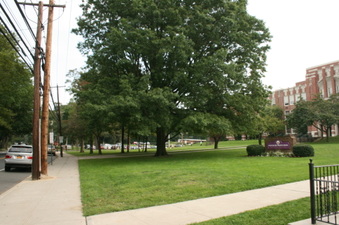 Enlarge photo 7