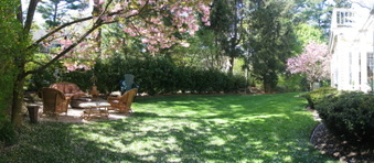 Enlarge photo 30