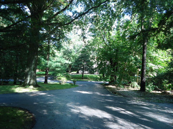 Enlarge photo 7