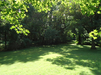 Enlarge photo 9