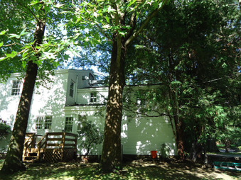 Enlarge photo 11