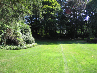Enlarge photo 10