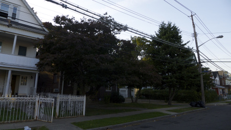 Enlarge photo 20