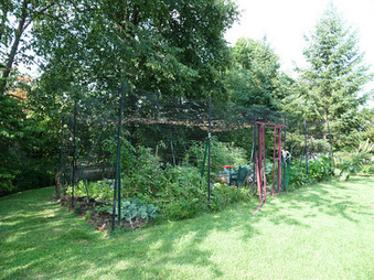 Enlarge photo 7