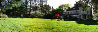 Enlarge photo 50