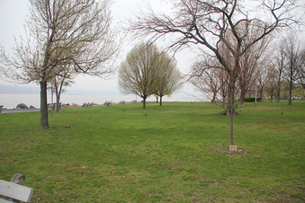 Enlarge photo 14