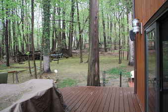 Enlarge photo 31