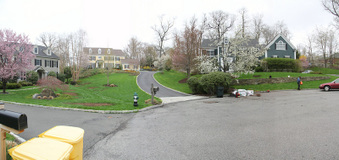 Enlarge photo 11
