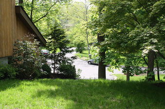 Enlarge photo 48