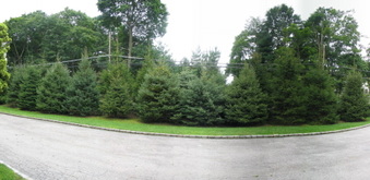 Enlarge photo 2