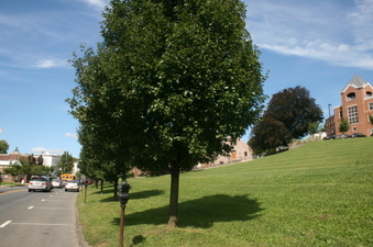 Enlarge photo 13