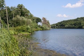Enlarge photo 4