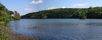 Enlarge photo 5