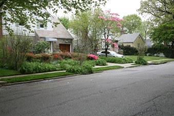 Enlarge photo 37