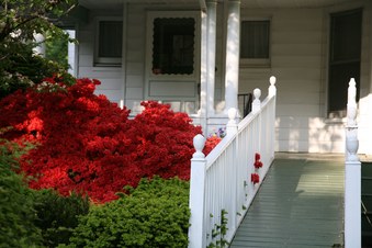 Enlarge photo 28