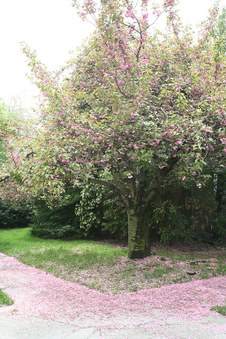 Enlarge photo 25