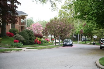 Enlarge photo 50