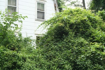 Enlarge photo 2