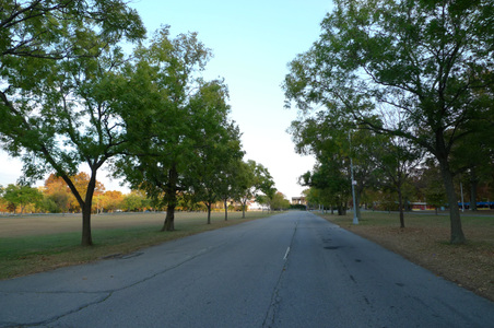 Enlarge photo 15