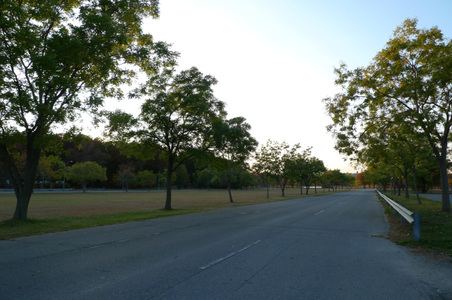 Enlarge photo 21
