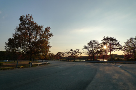 Enlarge photo 27