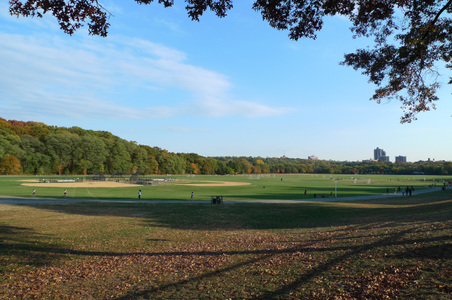 Enlarge photo 31