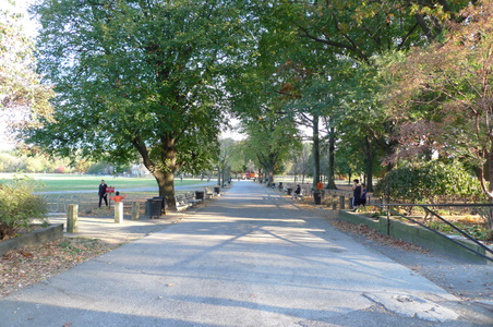 Enlarge photo 33
