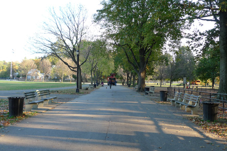 Enlarge photo 35