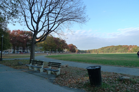 Enlarge photo 38