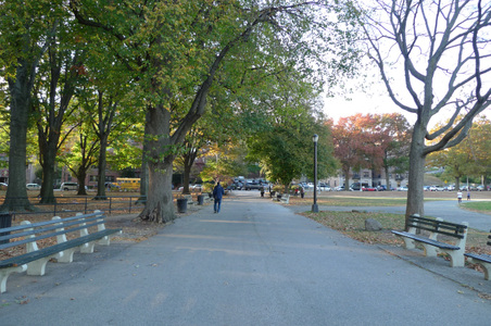 Enlarge photo 39