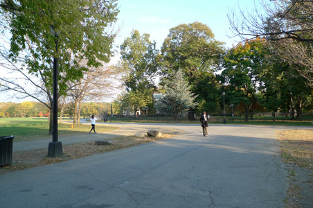 Enlarge photo 41