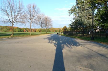 Enlarge photo 42
