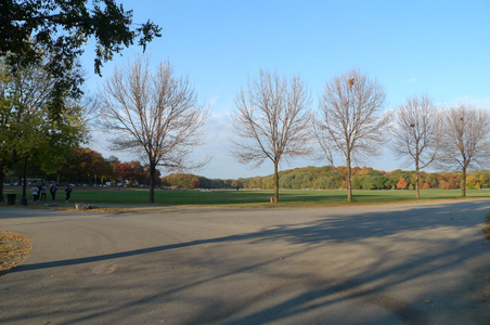 Enlarge photo 44