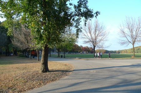 Enlarge photo 45