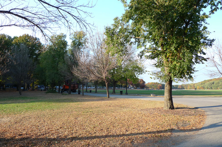 Enlarge photo 47