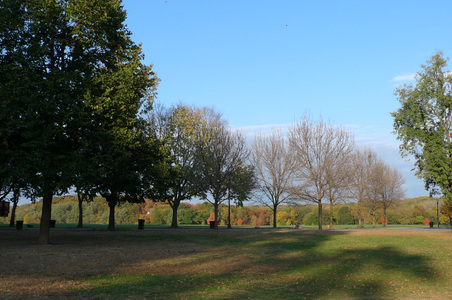 Enlarge photo 49