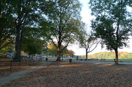 Enlarge photo 51