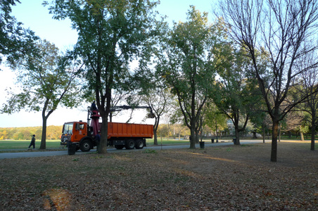 Enlarge photo 52