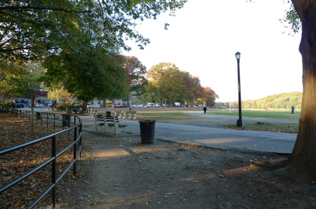 Enlarge photo 53