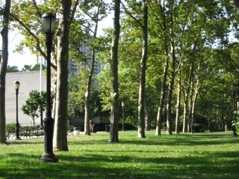 Enlarge photo 14