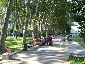Enlarge photo 11
