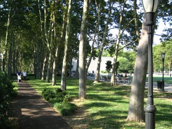 Enlarge photo 10