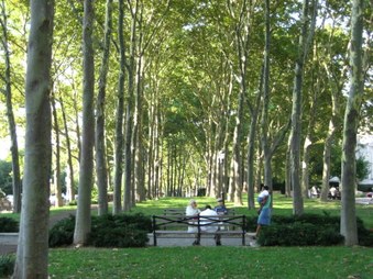 Enlarge photo 6